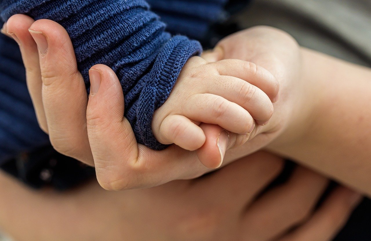 toddler hand, child's hand, hand, Secure attachment