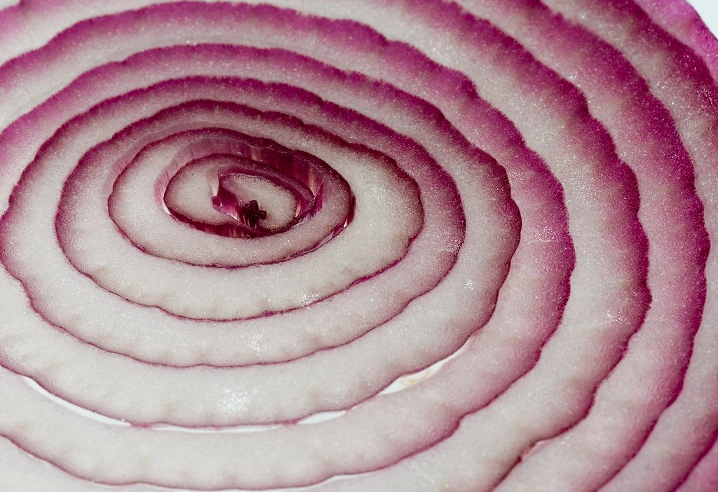 Rogers onion theory