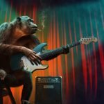 monkey, music, concert,therapy, music therapy