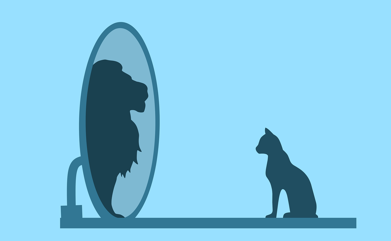 cat, mirror, lion, egoism