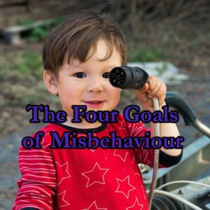 boy, rascal, child, misbehaviour, Photo by qimono