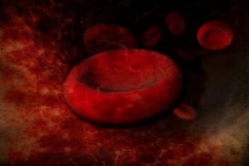 Blood Cells