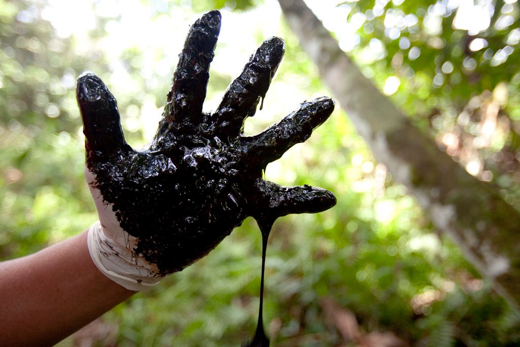 Chevron's Toxic Legacy in Ecuador's Amazon