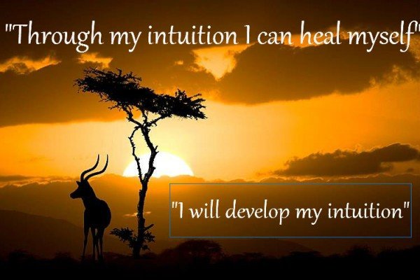 I will develop my intuition