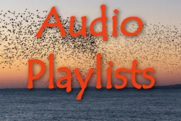 Playlist Feature