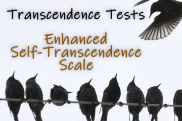 Self-Transcendence Tests - ESTS Feature