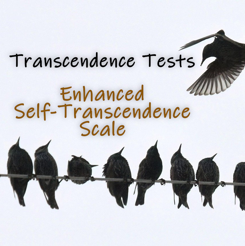 Self-Transcendence Tests - ESTS Feature