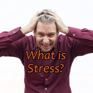 What is Stress
