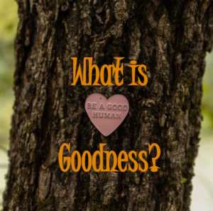 What is goodness