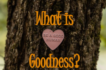 What is goodness