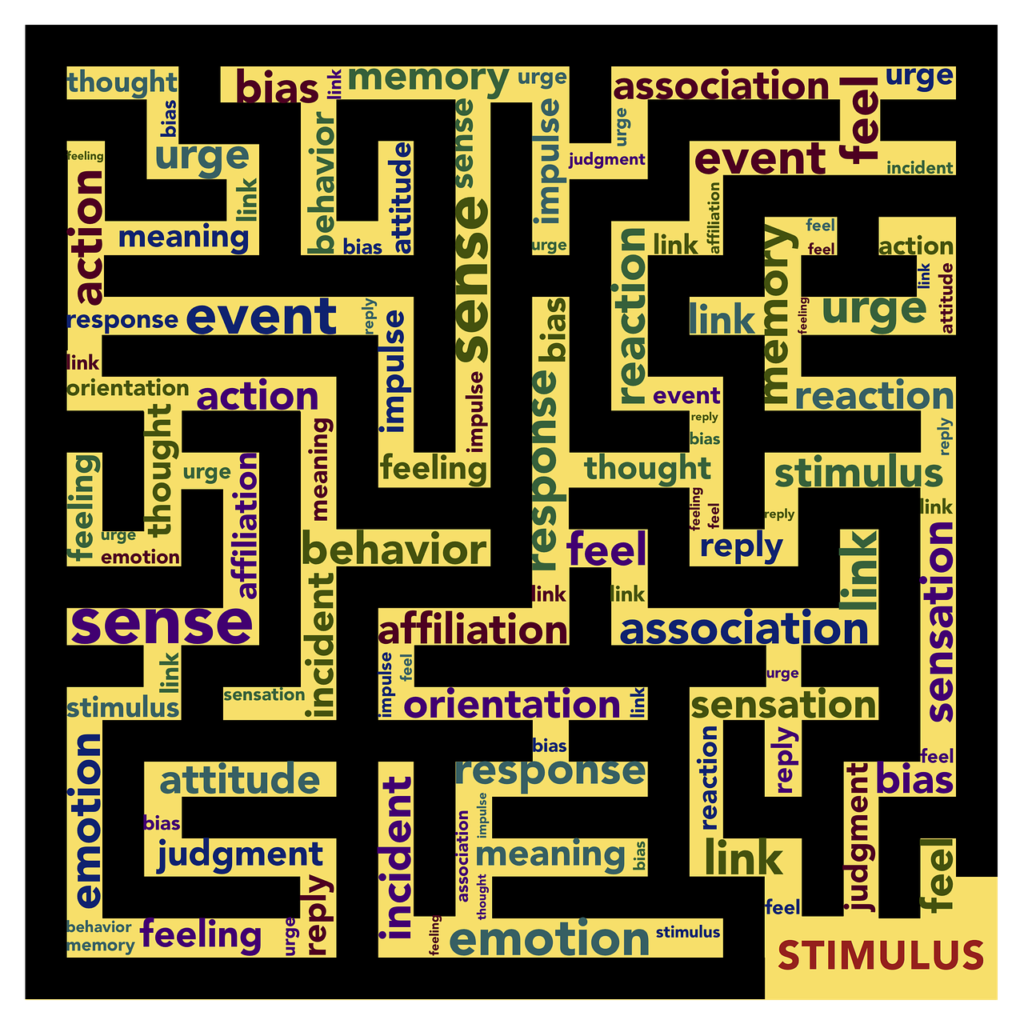 mindset, stimulus, response, emotion, reaction, feelings, thoughts, memory, association, psychology, deciding, sensation, urge, bias, action, behavior, maze, links, meaning, attitude, motivation, mindset, bias, bias, bias, bias, bias, behavior, maze