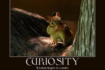 Curiosity