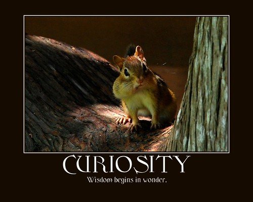 Curiosity