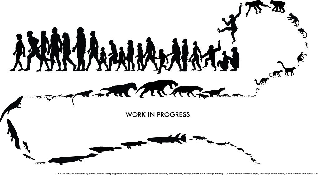 Human Evolution (work in progress)