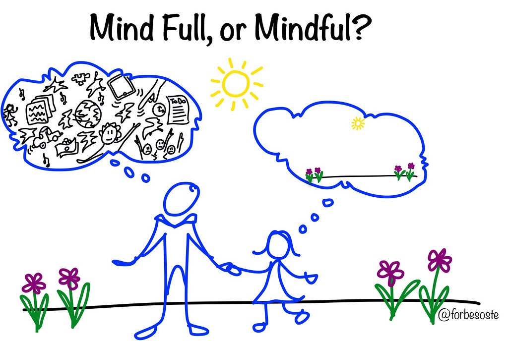 Mind Full v. Mindful