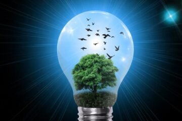 lamp, blue light, bulb, nature, tree, green, green energy, horizon, view, drill, opening, idea, perspective, illuminate, shine, illumination, halogen, lighting, electric, light, electricity, orange, energy, imagination, clear up, clarify, light up, awaken, launch, start, point of view, depth
