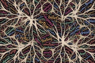 mental, human, experience, mindset, neuroscience, thoughts, feelings, actions, reactions, reactive, pattern, complex, networks, mind, brain, psychology, reality, performance, motivational, motivation, success, aspiration, emotion, response, challenge, management, brown brain, brown network, brown motivation, brown pattern, brown mind, brown human, brown management, brown psychology, mindset, mind, mind, brain, brain, brain, brain, psychology, psychology, motivational, motivational, motivation, motivation, motivation, motivation, motivation