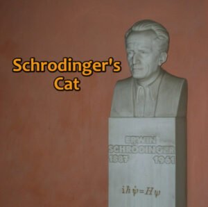 schrodinger's cat