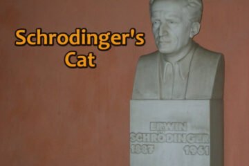 schrodinger's cat