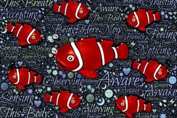 fish, water, consciousness, fluid, vipassana, yoga, meditation, practice, equanimity, presence, being, here, now, breath, breathing, feeling, observing, sensing, patience, impermanence, attitude, fresh, awareness, mindfulness, compassion, non-judgment, accepting, acceptance, appreciation, allowing, equanimous, awake, aware, noticing, reactivity, non-reactive, peace, serenity, composure, calm, trusting, stimuli, thoughts, emotion, sensation, body, buddhism, zen, change, changing, nature, spirituality, blue yoga, blue meditation, blue fish, blue change, blue calm, blue mind, blue body