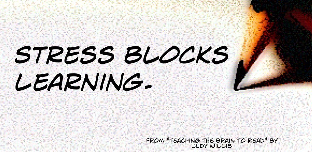 Stress is your body and mind’s built‑in alarm and energy system. It switches on when something feels demanding, uncertain, or threatening so you can deal with it