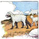 The Wolf in Sheep's Clothing