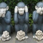 Wise monkey