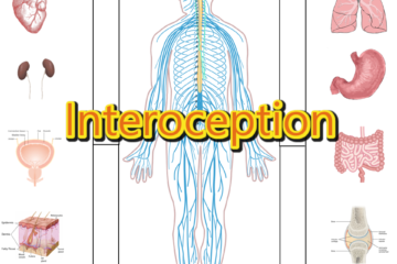 interoception