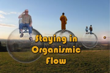 staying in organismic flow